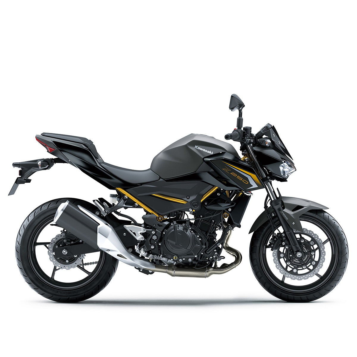 Kawasaki Z 250 (2026)